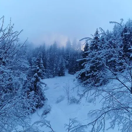 Vue Sur Le Golf Et Le Leman