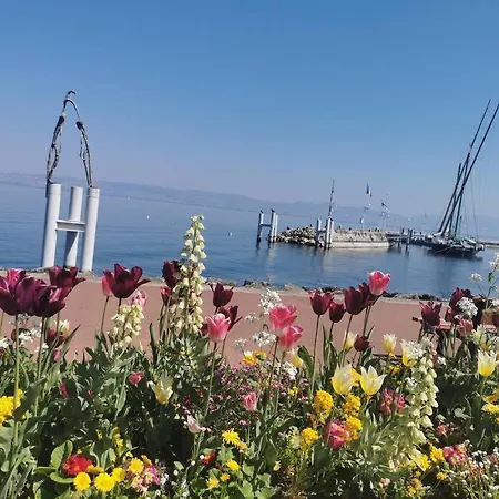 Vue Sur Le Golf Et Le Leman 公寓 安菲翁·莱斯·班恩斯